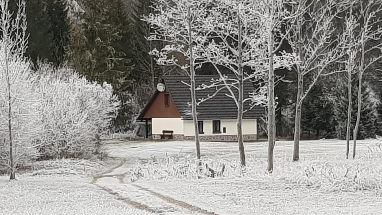 Pocitniska Hisa Taler Villa Bohinji-tó Kültér fotó