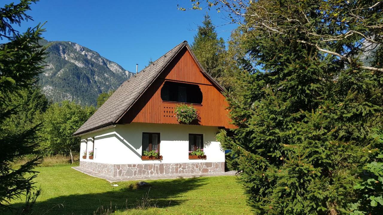 Pocitniska Hisa Taler Villa Bohinji-tó Kültér fotó