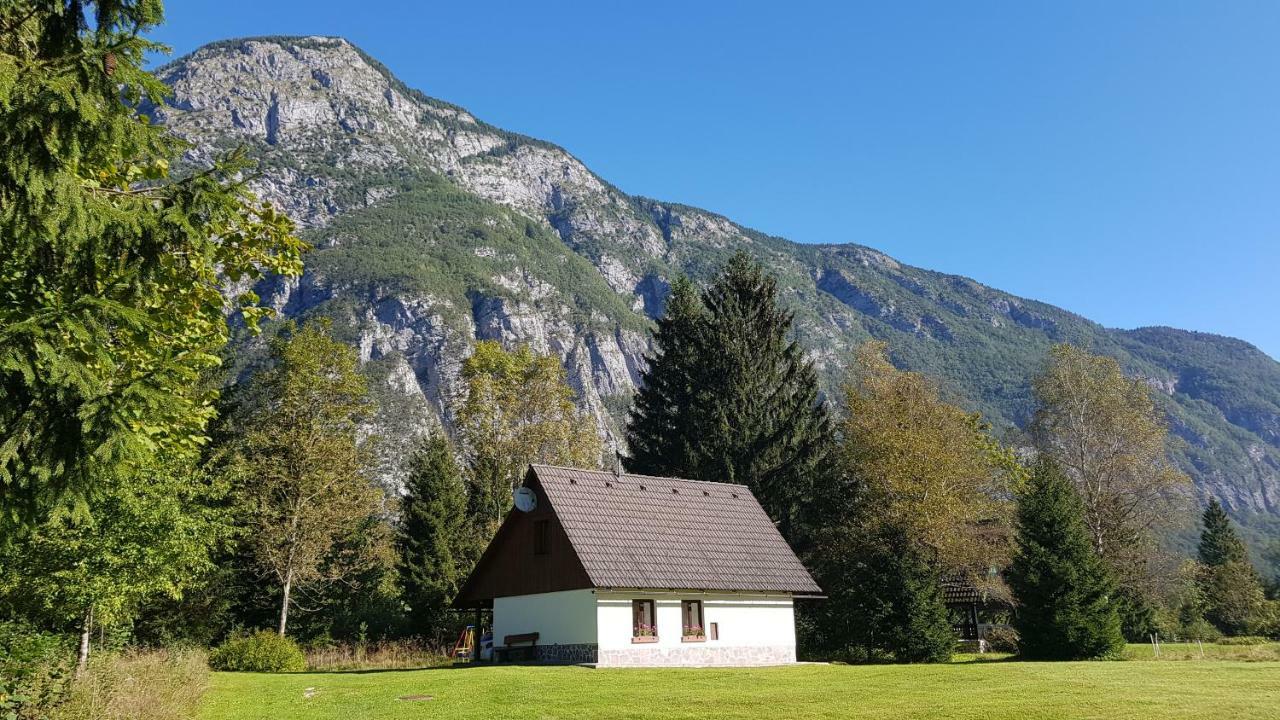 Pocitniska Hisa Taler Villa Bohinji-tó Kültér fotó